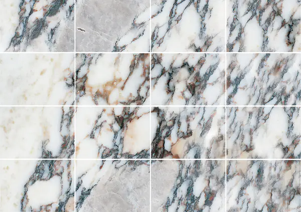 رخام بريشيا دي ستاتزيما الإيطالي مطابقة كتاب مزدوج مفتوح