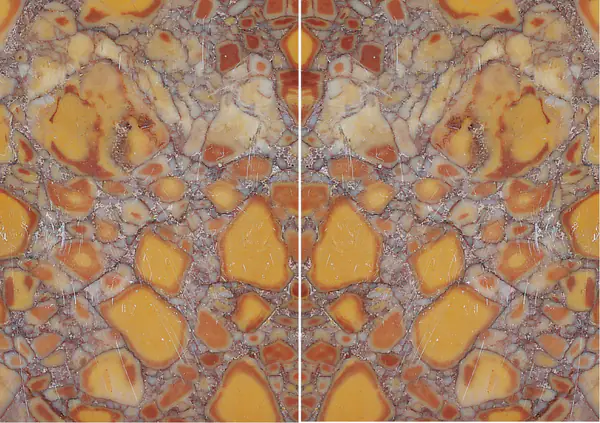 رخام بريشيا فروتيكولوسا الفرنسي مطابقة ربع كتاب