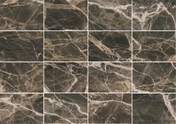 رخام بريشيا باراديسو الإيطالي مطابقة كتاب مفتوح