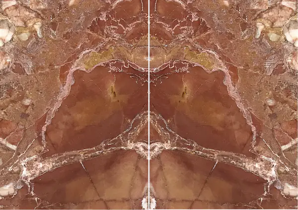 رخام بريشيا بونتيفيسيا الإيطالي مطابقة ربع كتاب