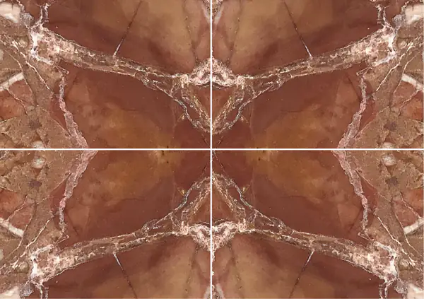 رخام بريشيا بونتيفيسيا الإيطالي عروق متتابعة