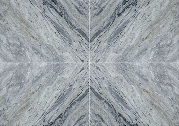 رخام بريشيا بورتوفينو الإيطالي عروق متتابعة