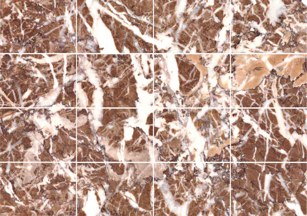 رخام بريشيا س. أجاتا الإيطالي مطابقة كتاب مزدوج مفتوح