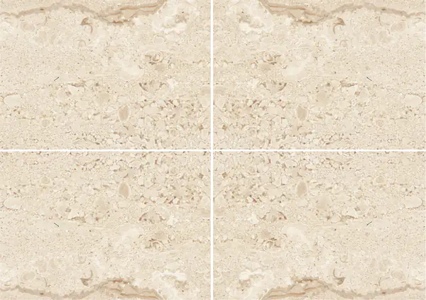 رخام بريشيا سردا الإيطالي عروق غير متطابقة