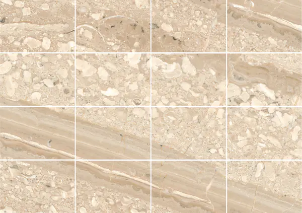 رخام بريشيا ساردا فيناتا الإيطالي مطابقة كتاب مزدوج مفتوح