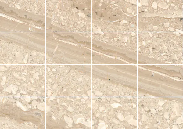 رخام بريشيا ساردا فيناتا الإيطالي مطابقة ربع كتاب