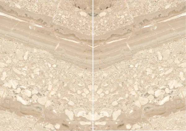 رخام بريشيا ساردا فيناتا الإيطالي مطابقة ربع كتاب