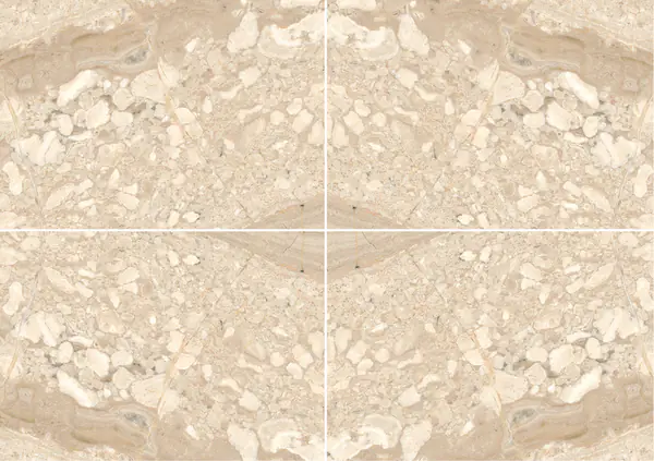 رخام بريشيا ساردا فيناتا الإيطالي عروق متتابعة