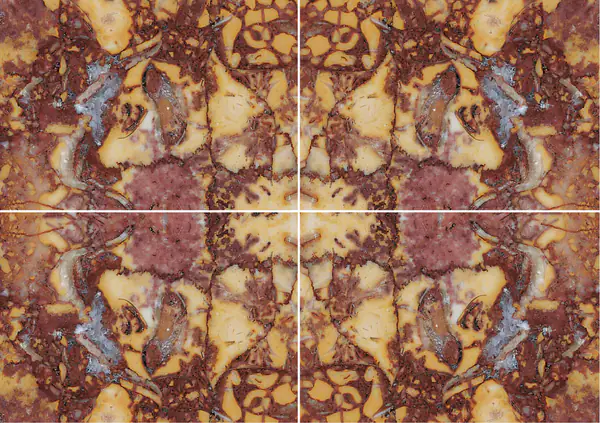 رخام بروكاتيل الفرنسي عروق متتابعة