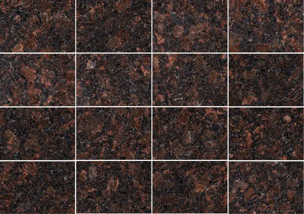 جرانيت روسي (جرانو-سيانيت) دب بني مطابقة كتاب مفتوح