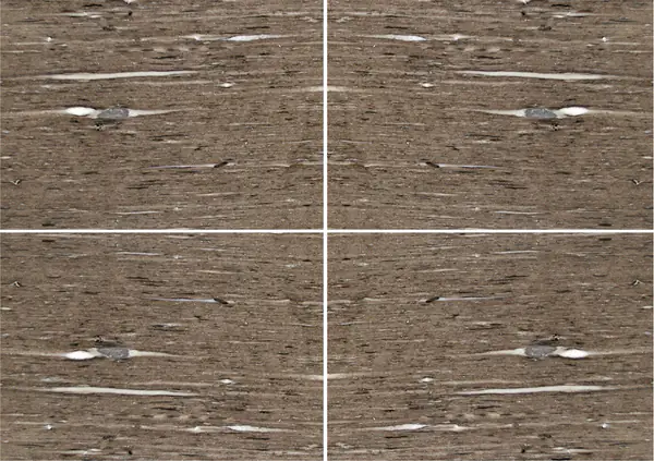 كوارتزيت برازيلي حريري بني عروق غير متطابقة