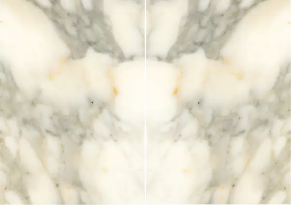 رخام كلكتا ألتيزيمو الإيطالي مطابقة ربع كتاب