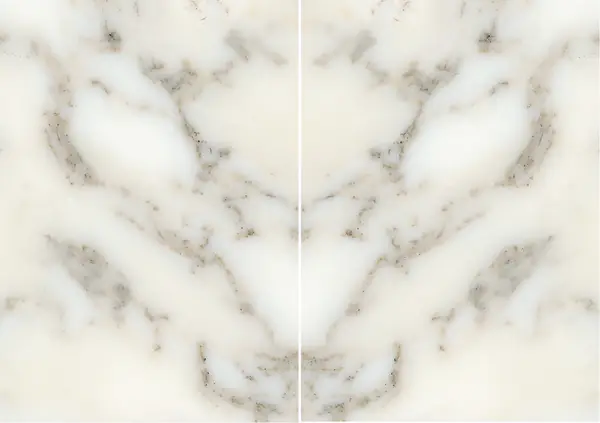 رخام كلكتا أرني الإيطالي مطابقة ربع كتاب