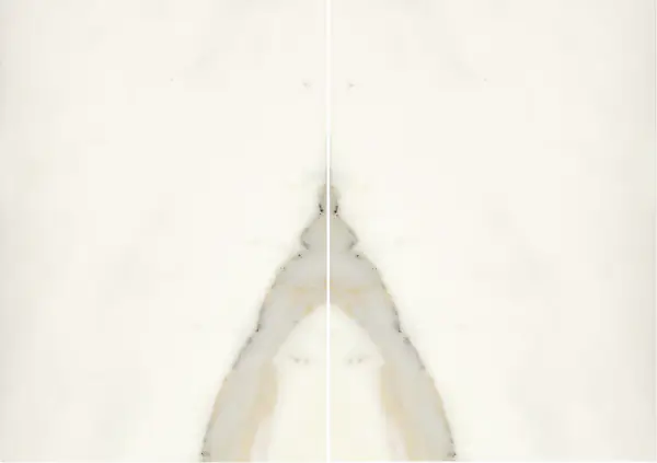 رخام كلكتا بورغيني الإيطالي مطابقة ربع كتاب