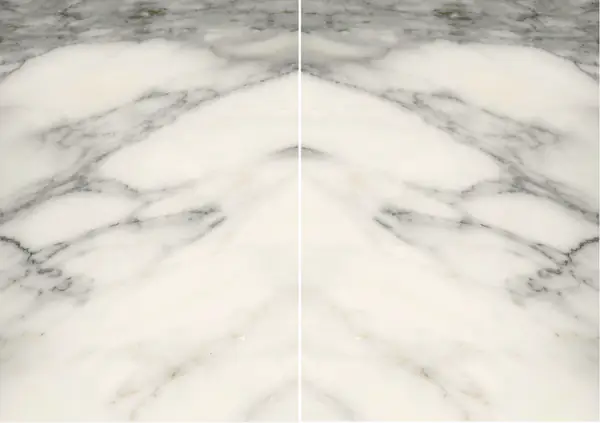 رخام كالاكاتا سيرفايولي الإيطالي مطابقة ربع كتاب