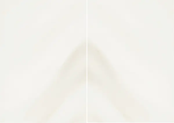 رخام كلكتا لوتشيكوسو الإيطالي مطابقة ربع كتاب