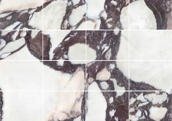 رخام كلكتا فيولا الإيطالي مطابقة كتاب مزدوج مفتوح