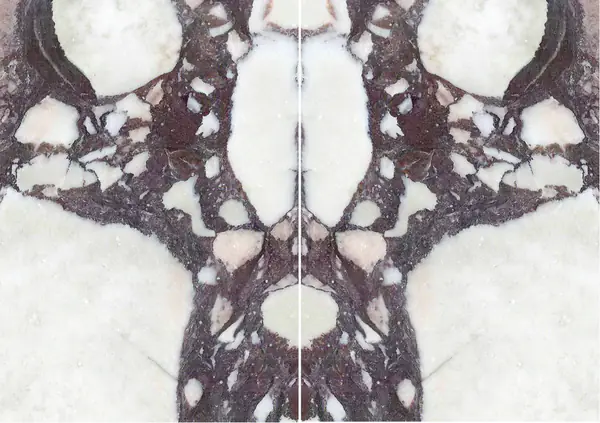 رخام كلكتا فيولا الإيطالي مطابقة ربع كتاب