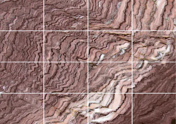 رخام إيطالي سيبولينو روسو مطابقة ربع كتاب