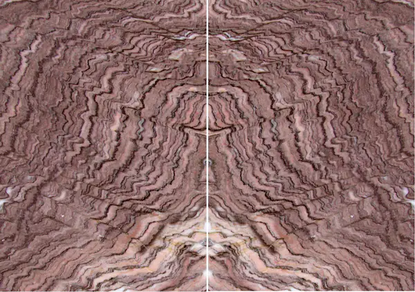 رخام إيطالي سيبولينو روسو مطابقة ربع كتاب