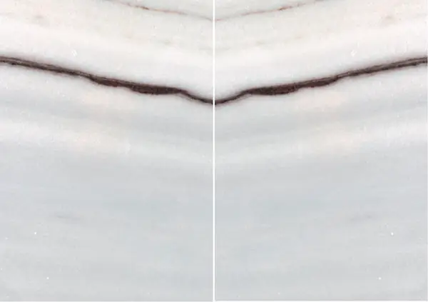 رخام كوفيلانو الفضي الإيطالي مطابقة ربع كتاب