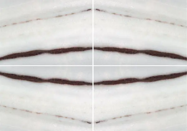 رخام كوفيلانو الفضي الإيطالي عروق غير متطابقة