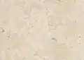 Crema Luna Portuguese Limestone