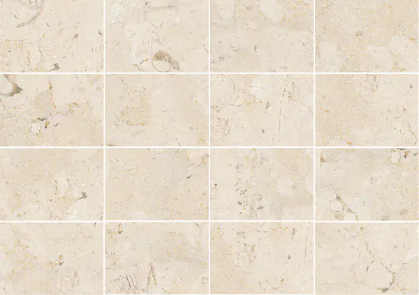 حجر جيري برتغالي كريما لونا مطابقة كتاب مفتوح