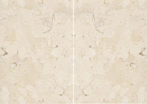 حجر جيري برتغالي كريما لونا مطابقة ربع كتاب