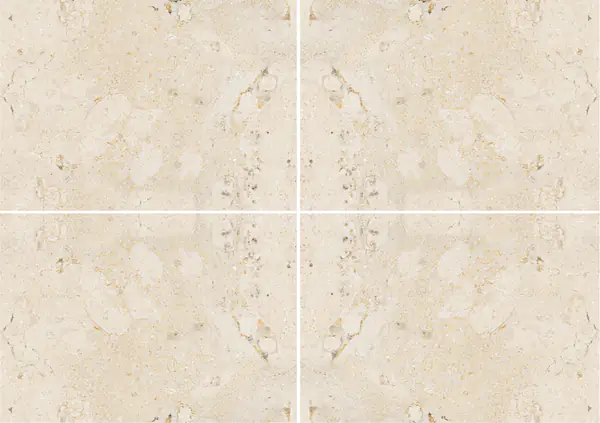 حجر جيري برتغالي كريما لونا عروق غير متطابقة