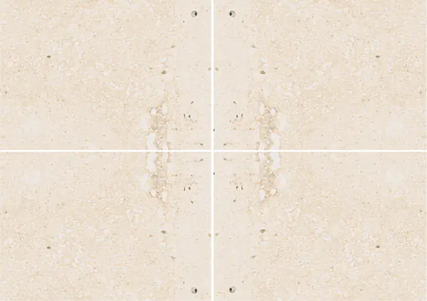 رخام كريمو صقلية الإيطالي عروق غير متطابقة