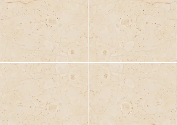 كريمو سوبريمو رخام إيطالي عروق متتابعة