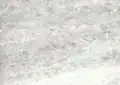 Crystal Ice Brazilian