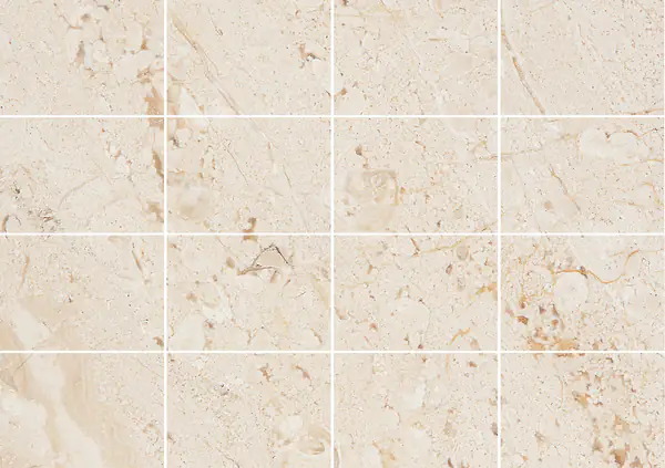 رخام داينو ريال الإيطالي مطابقة ربع كتاب