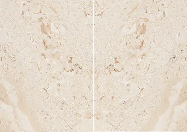 رخام داينو ريال الإيطالي مطابقة ربع كتاب