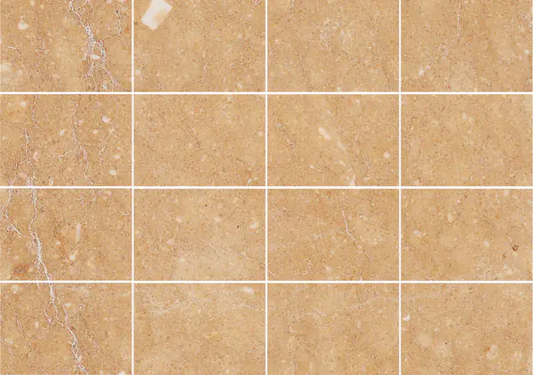 حجر جيري فرنسي ذهبي دمشقي مطابقة كتاب مزدوج مفتوح