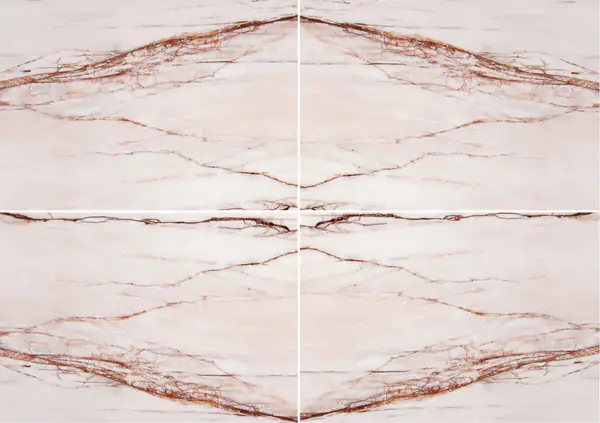 رخام دولوميت سبايدر بينك التركي عروق متتابعة