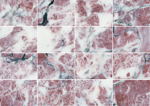 رخام فيور دي بيسكو أبوانو الإيطالي مطابقة كتاب مفتوح