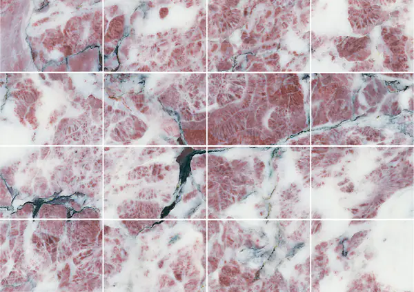 رخام فيور دي بيسكو أبوانو الإيطالي مطابقة كتاب مزدوج مفتوح