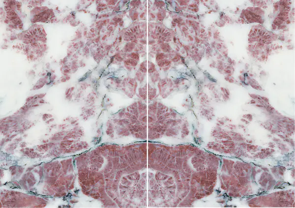 رخام فيور دي بيسكو أبوانو الإيطالي مطابقة ربع كتاب