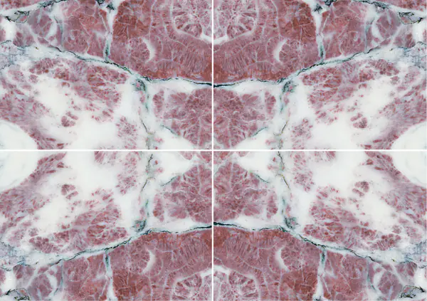 رخام فيور دي بيسكو أبوانو الإيطالي عروق متتابعة