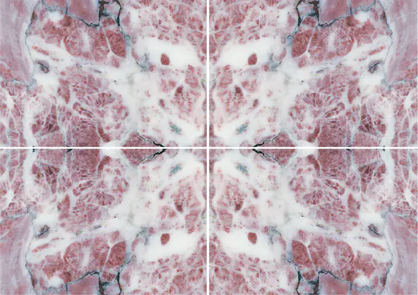 رخام فيور دي بيسكو أبوانو الإيطالي عروق غير متطابقة