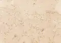 Fior Di Rosa Italian Limestone