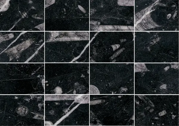 رخام مغربي أسود من فوسيل مطابقة كتاب مفتوح