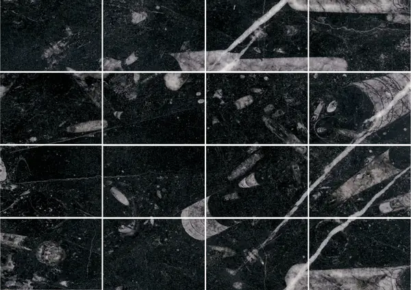 رخام مغربي أسود من فوسيل مطابقة كتاب مزدوج مفتوح