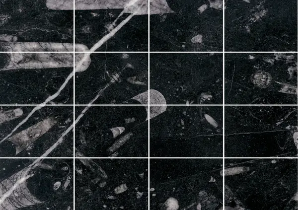 رخام مغربي أسود من فوسيل مطابقة ربع كتاب