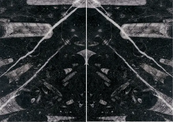 رخام مغربي أسود من فوسيل مطابقة ربع كتاب