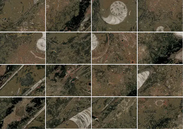 رخام مغربي بني من فوسيل مطابقة كتاب مفتوح