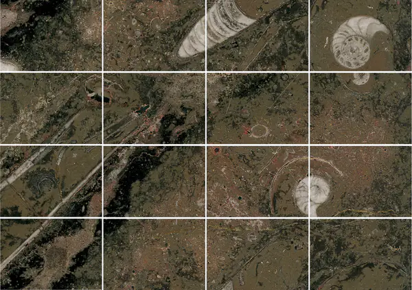 رخام مغربي بني من فوسيل مطابقة كتاب مزدوج مفتوح