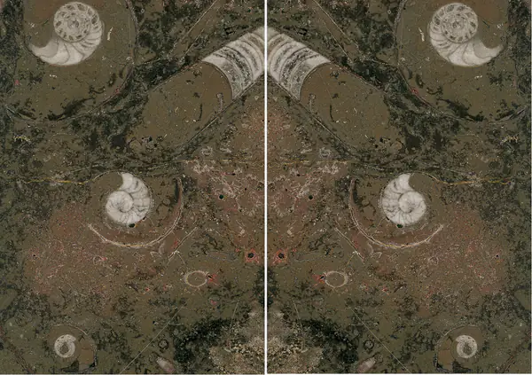 رخام مغربي بني من فوسيل مطابقة ربع كتاب